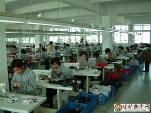 中国矿业大学管理学院 撼树的蚍蜉实践团 关于中小微型企业对当地经济的影响的报告