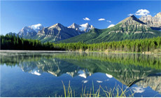 江湖耗儿鱼蜀香鸡4人团购 成都团结镇特色美食不容错过